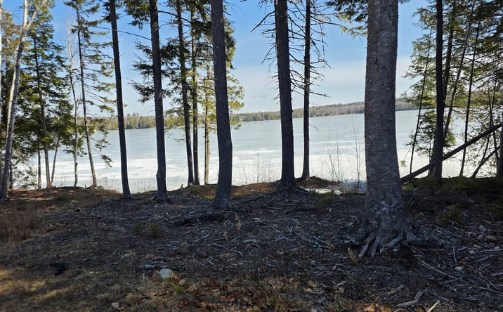 Pictures of Land property located at little river cove road west, Weston, ME 04424 for sales - image #1