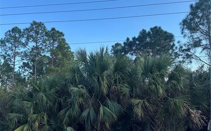 Pictures of Land property located at 665 Woodcrest Dr, Lehigh Acres, FL 33972 for sales - image #1