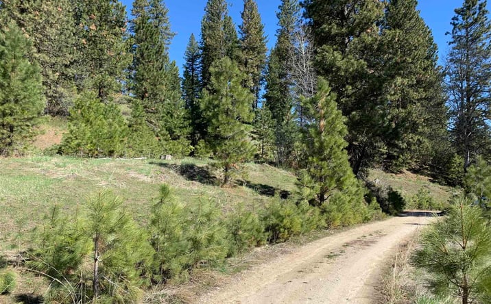 Pictures of Land property located at 32 Pne Hts Dr, Boise, ID 83716 for sales - image #1