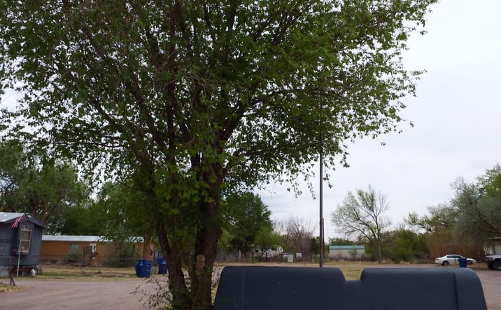 Pictures of Retail property located at 401-413 Eastwood Loop, Socorro, NM 87801 for sales - image #1