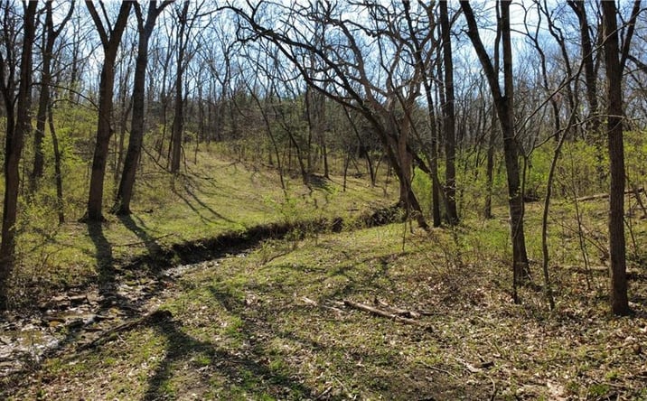 Pictures of Land, Special Purpose, Multifamily property located at 1611 Sunrise Drive, Smithville, MO 64089 for sales - image #1