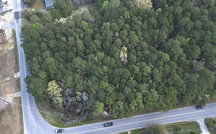 Pictures of Land property located at 00 Clemants Ferry, Charleston, SC 29492 for sales - image #1