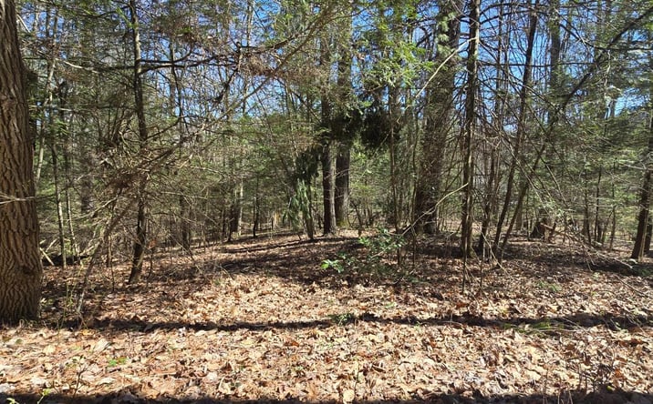 Pictures of Special Purpose property located at Redbud, Daniels, WV 25832 for sales - image #1