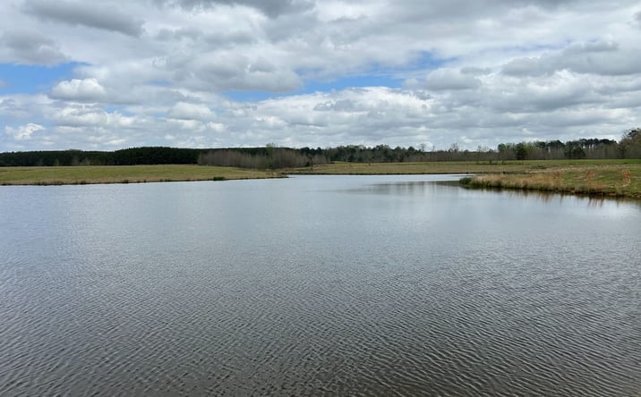 Pictures of Land property located at 0 Cr 413, New Houlka, MS 38850 for sales - image #1