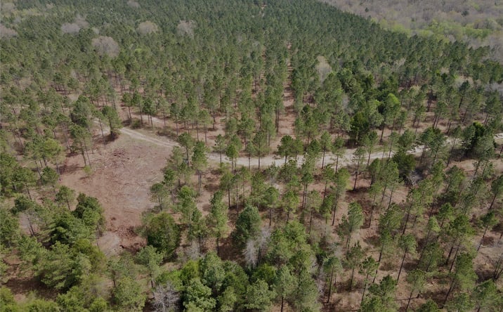 Pictures of Land property located at Milam Road, Antlers, OK 74523 for sales - image #1