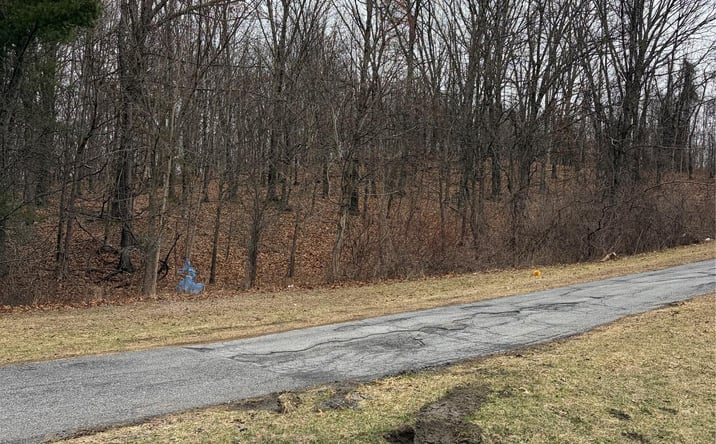 Pictures of Retail property located at 3748 US Highway 9W, Lloyd, NY 12528 for sales - image #1