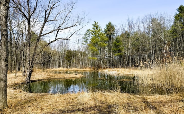 Pictures of Land, Special Purpose property located at Tbd Frank Hitchcock Road, Cairo, NY 12413 for sales - image #1