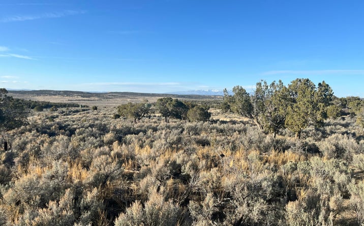 Pictures of Land property located at XX ROAD 3095, Aztec, NM 87410 for sales - image #1