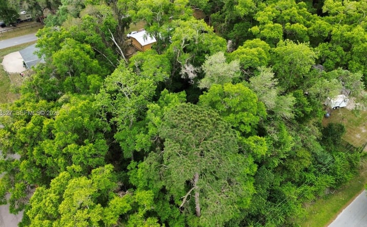 Pictures of Land property located at NW 114 ct, Ocala, FL 34421 for sales - image #1