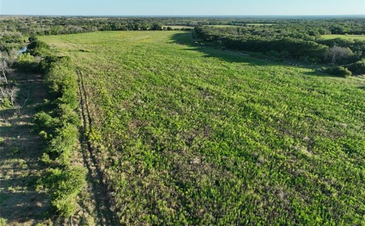 Pictures of Land property located at TBD CR 137, Carlton, TX 76436 for sales - image #1