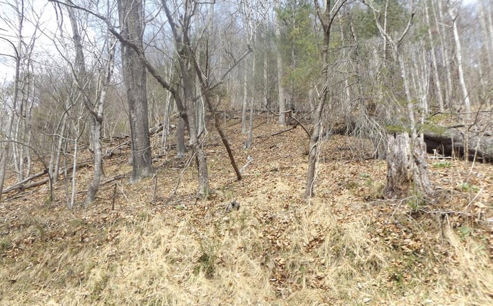 Pictures of Land, Multifamily property located at TBD South Main St., Galax, VA 24333 for sales - image #1