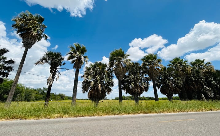 Pictures of Land property located at 0000 N Taylor Rd, McAllen, TX 78504 for sales - image #1