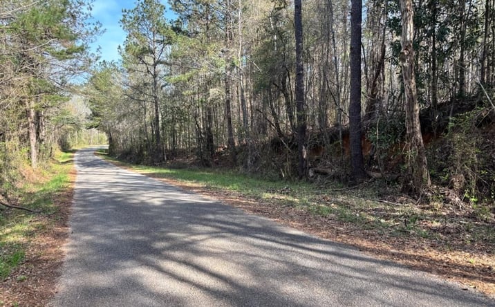 Pictures of Land property located at 000 Cr 142, Quitman, MS 39355 for sales - image #1