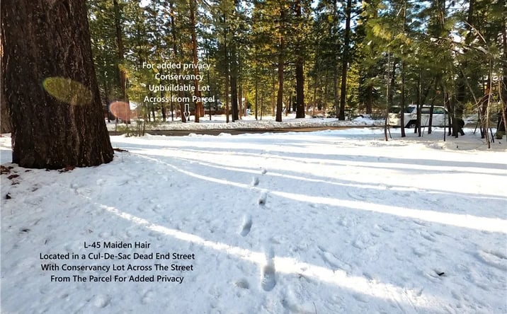 Pictures of Land property located at 1662 Maiden Hair Ct, South Lake Tahoe, CA 96150 for sales - image #1