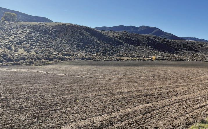 Pictures of Land property located at Elizabeth Lake Rd, Leona Valley, CA 93551 for sales - image #1