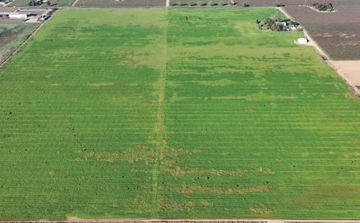 Pictures of Land property located at 3454 East Peltier Road, Acampo, CA 95220 for sales - image #1