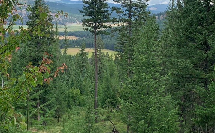 Pictures of Land property located at Tract 11 Whitetail Ridge, Kila, MT 59920 for sales - image #1