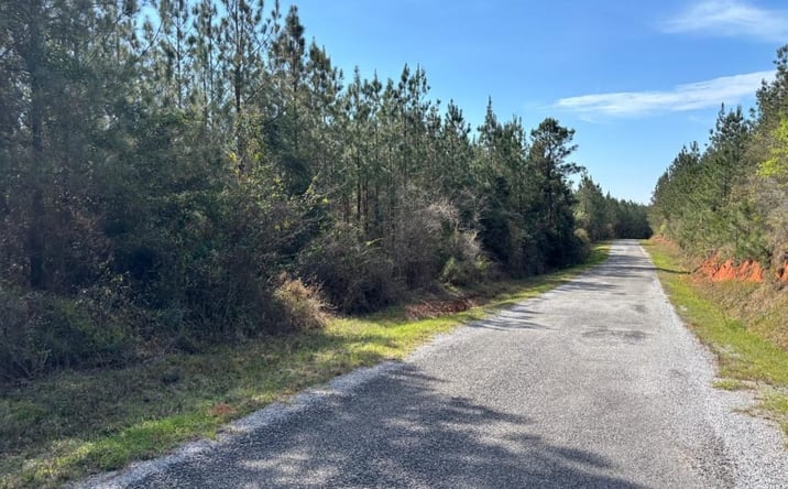 Pictures of Land property located at 000 Cr 415, Quitman, MS 39355 for sales - image #1