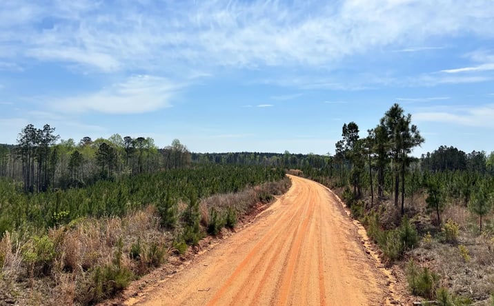 Pictures of Land property located at 00 Cr 421, Quitman, MS 39355 for sales - image #1