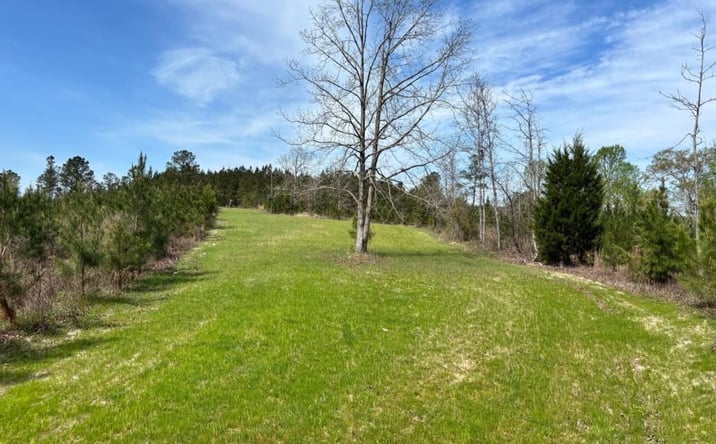 Pictures of Land property located at 000 Cr 421, Quitman, MS 39355 for sales - image #1