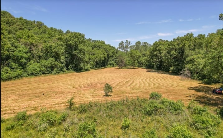 Pictures of Land property located at TBD Sara's Road, Barnett, MO 65011 for sales - image #1