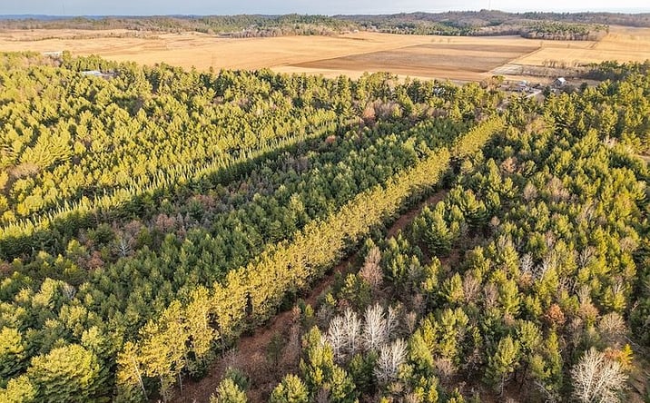 Pictures of Land property located at 5148 County Road S, Sparta, WI 54656 for sales - image #1