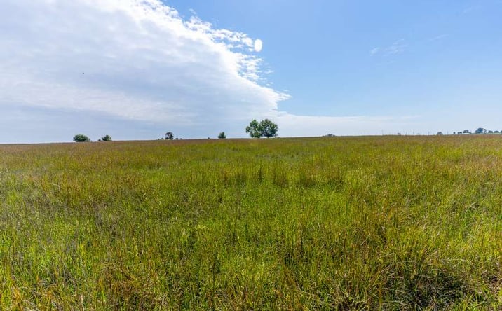 Pictures of Land property located at 0 Morgan Ln, Fair Grove, MO 65648 for sales - image #1
