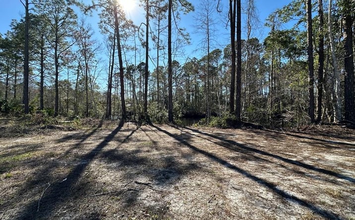 Pictures of Land property located at SE 851st Ave, Suwannee, FL 32692 for sales - image #1