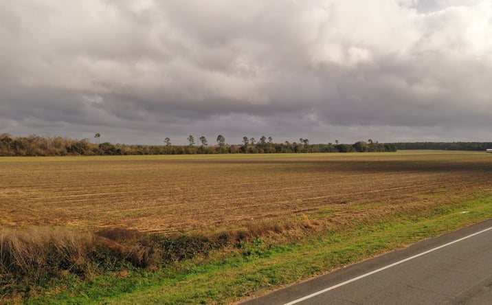 Pictures of Land property located at 0 Highway 89, Milton, FL 32570 for sales - image #1