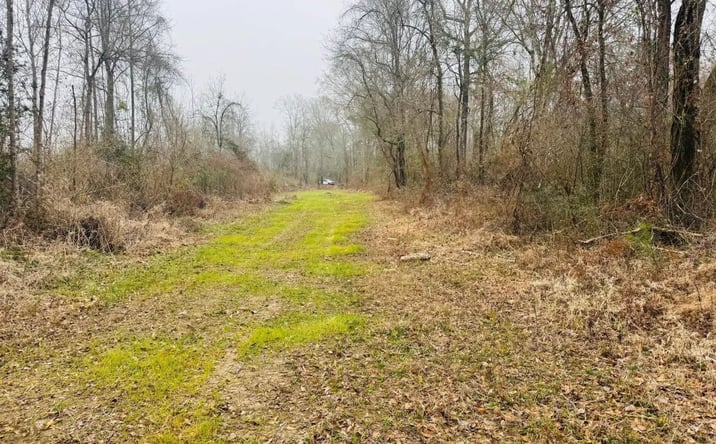 Pictures of Land property located at Sidney Ellzey Road, 71112, MS 39667 for sales - image #1