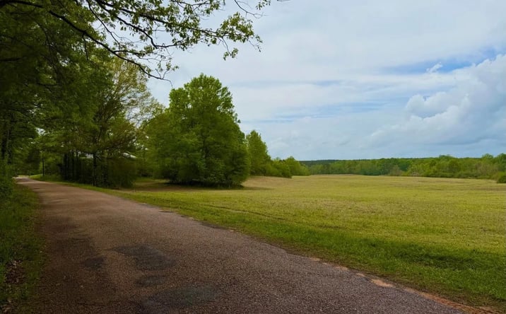 Pictures of Land property located at 3404 SW Jordan Drive, 70877, MS 39664 for sales - image #1