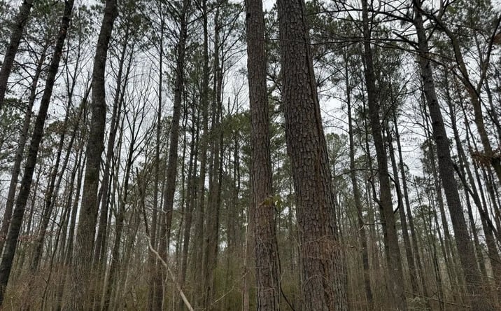 Pictures of Land property located at Mount Elam Church Road, 70454, MS 39208 for sales - image #1