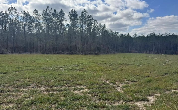Pictures of Land property located at Smiley Honea Road, 70065, MS 39652 for sales - image #1