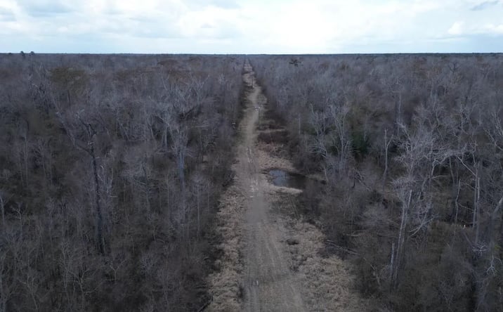 Pictures of Land property located at 2599 Martin Tram Road, 51796, LA 70655 for sales - image #1