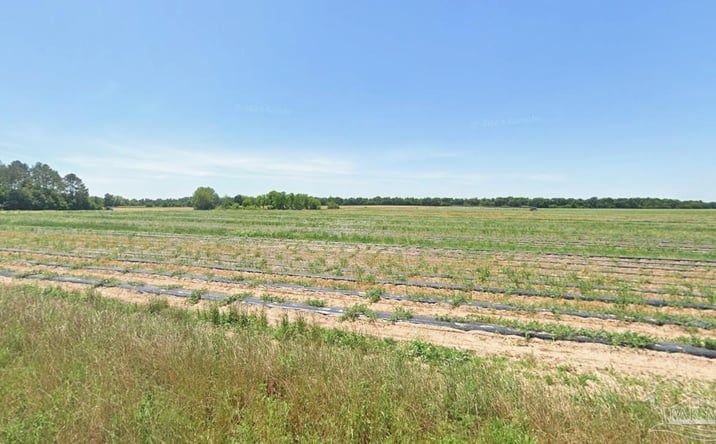 Pictures of Land property located at 0 Russell Wade Rd, Jay, FL 32565 for sales - image #1