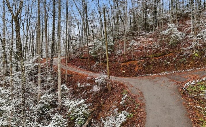 Pictures of Land property located at Par 202.03 Autumn Lane, 120227, TN 37738 for sales - image #1