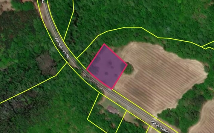 Pictures of Land, Mixed Use, Mobile Home Park, Multifamily property located at 4523 Spring Branch Rd, Bamberg, SC 29003 for sales - image #1