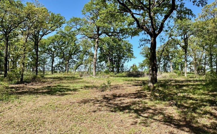 Pictures of Land property located at 12244 Longboard Loop, Kingston, OK 73439 for sales - image #1