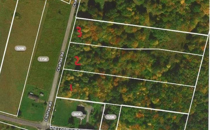 Pictures of Land property located at 1 Chaffee Road, Sullivan County, NY 12754 for sales - image #1