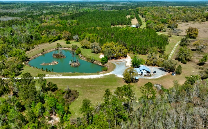 Pictures of Land property located at Empress Rd, Quitman, GA 31643 for sales - image #1