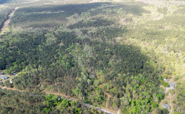 Pictures of Land property located at R & G LN APPLING GA 30802, APPLING, GA 30802 for sales - image #1