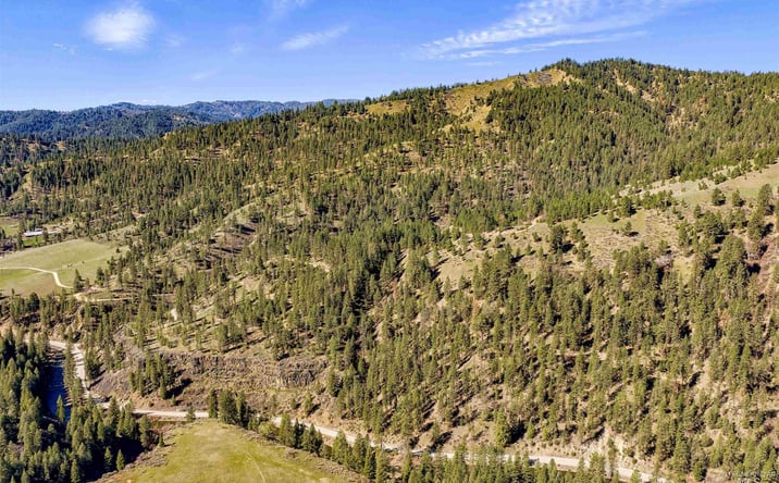 Pictures of Land property located at TBD Chapman Lane (116.72ac), Boise, ID 83716 for sales - image #1