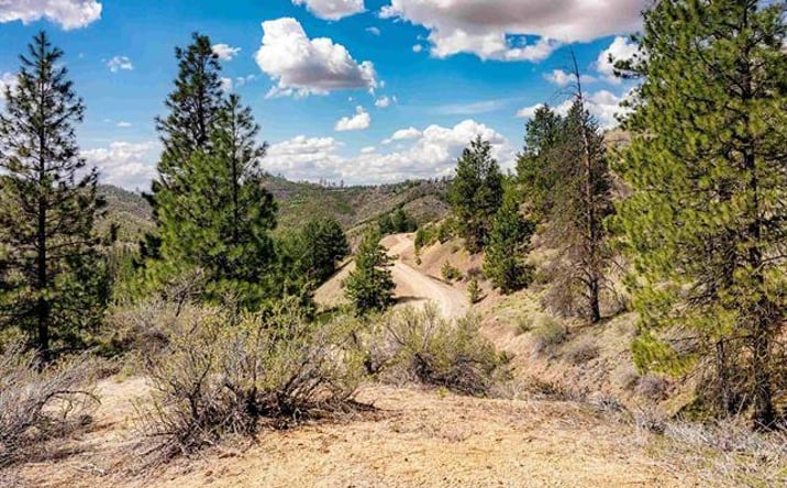 Pictures of Land property located at LOT 16 Napias Sub, North Fork, ID 83716 for sales - image #1