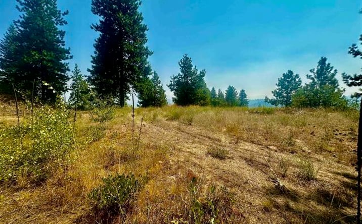 Pictures of Land property located at TBD Ridgeview Pl-Lot 77, Boise, ID 83716 for sales - image #1