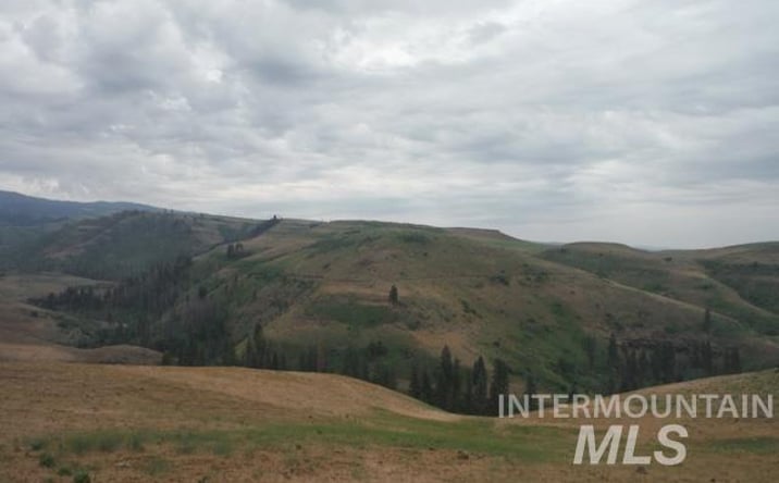 Pictures of Land property located at Lot 4 Middle Fork Rd, Council, ID 83612 for sales - image #1