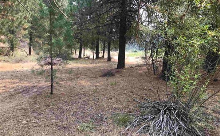 Pictures of Land property located at 27 Meadow Creek Rd, Idaho City, ID 83631 for sales - image #1