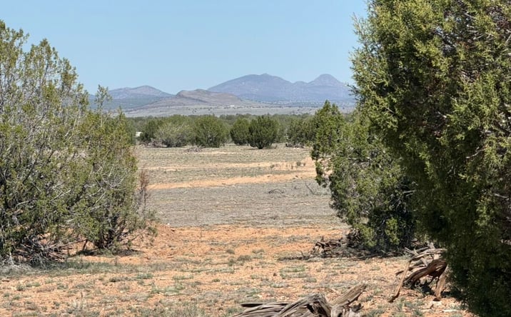 Pictures of Land, Multifamily property located at W26 Prairie Dog Road, Ash Fork, AZ 86320 for sales - image #1