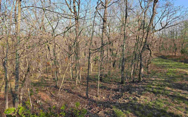 Pictures of Land, Special Purpose property located at Galvin, Edwards, MO 65326 for sales - image #1