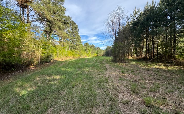 Pictures of Land property located at 1311 N Jackson St, Brookhaven, MS 39601 for sales - image #1