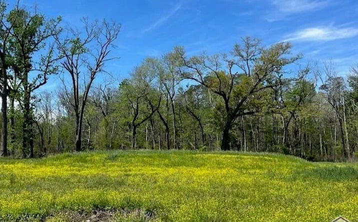 Pictures of Land property located at 13023 Bluff Rd, Geismar, LA 70734 for sales - image #1